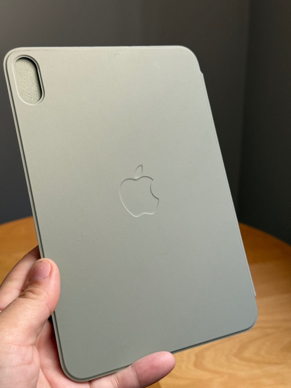 Apple iPad Mini A17 Pro Tablet Magnetic Smart Folio Cover in Sage Green